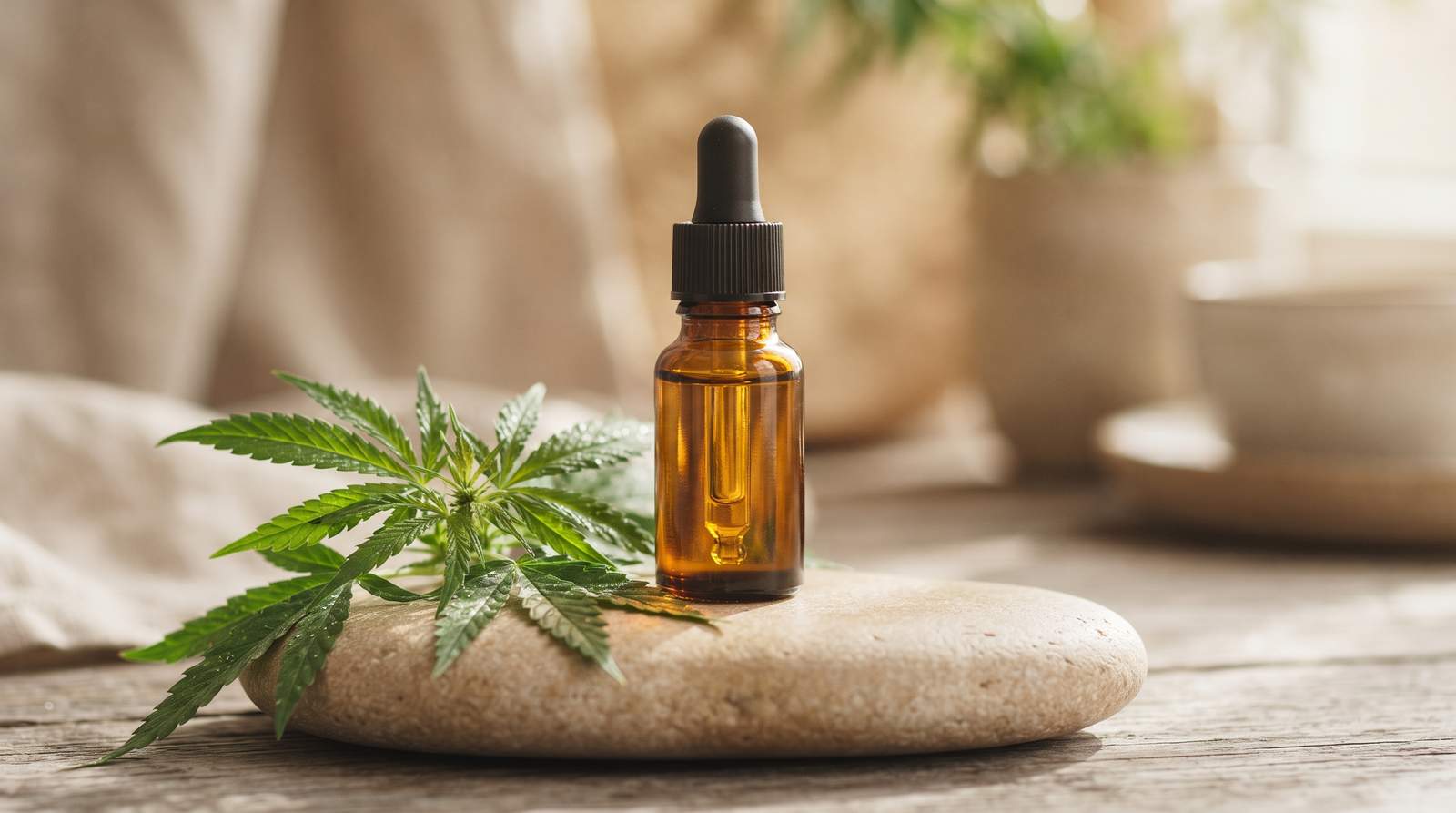 Hvad undersøger forskningen om CBD og hud?